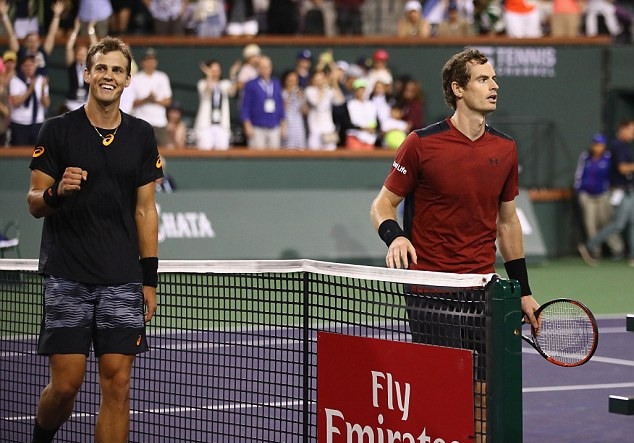 Choáng váng: Tay vợt hạng 129 'hạ gục' tay vợt số 1 thế giới Andy Murray ngay trận đầu ảnh 3